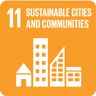 SDG 11