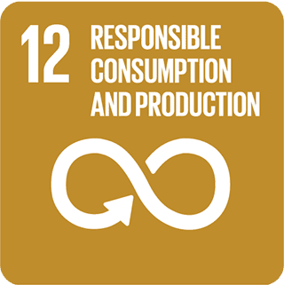 SDG 12